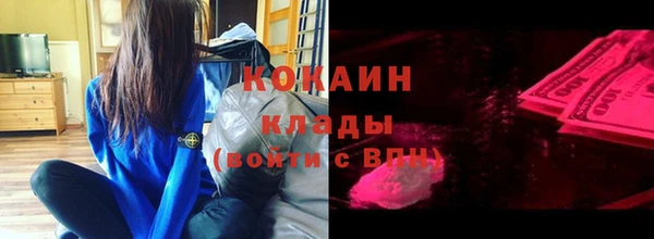 гидропоника Няндома