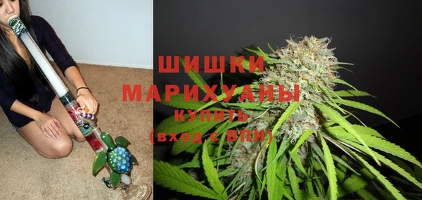 гидропоника Няндома