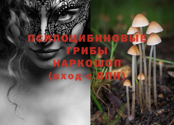 гидропоника Няндома