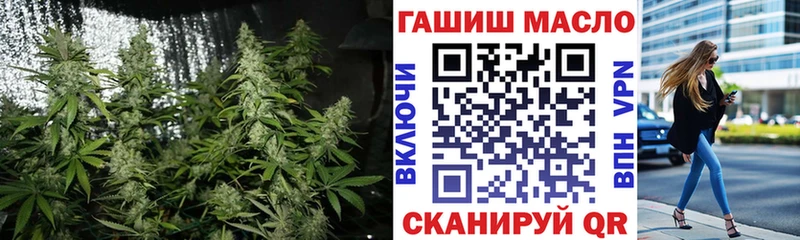 Купить где  Пыталово  ТГК Wax 
