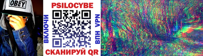 Купить где  Пыталово  Псилоцибиновые грибы мухоморы 